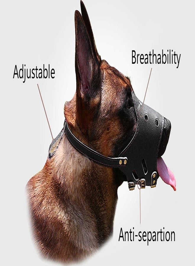 Pups&Pets Leather Adjustable AntiBite Mesh Guard, Dog Leather Breathable Biting and Barking Safety Mask, Metal Buclke (Large) - Image 3